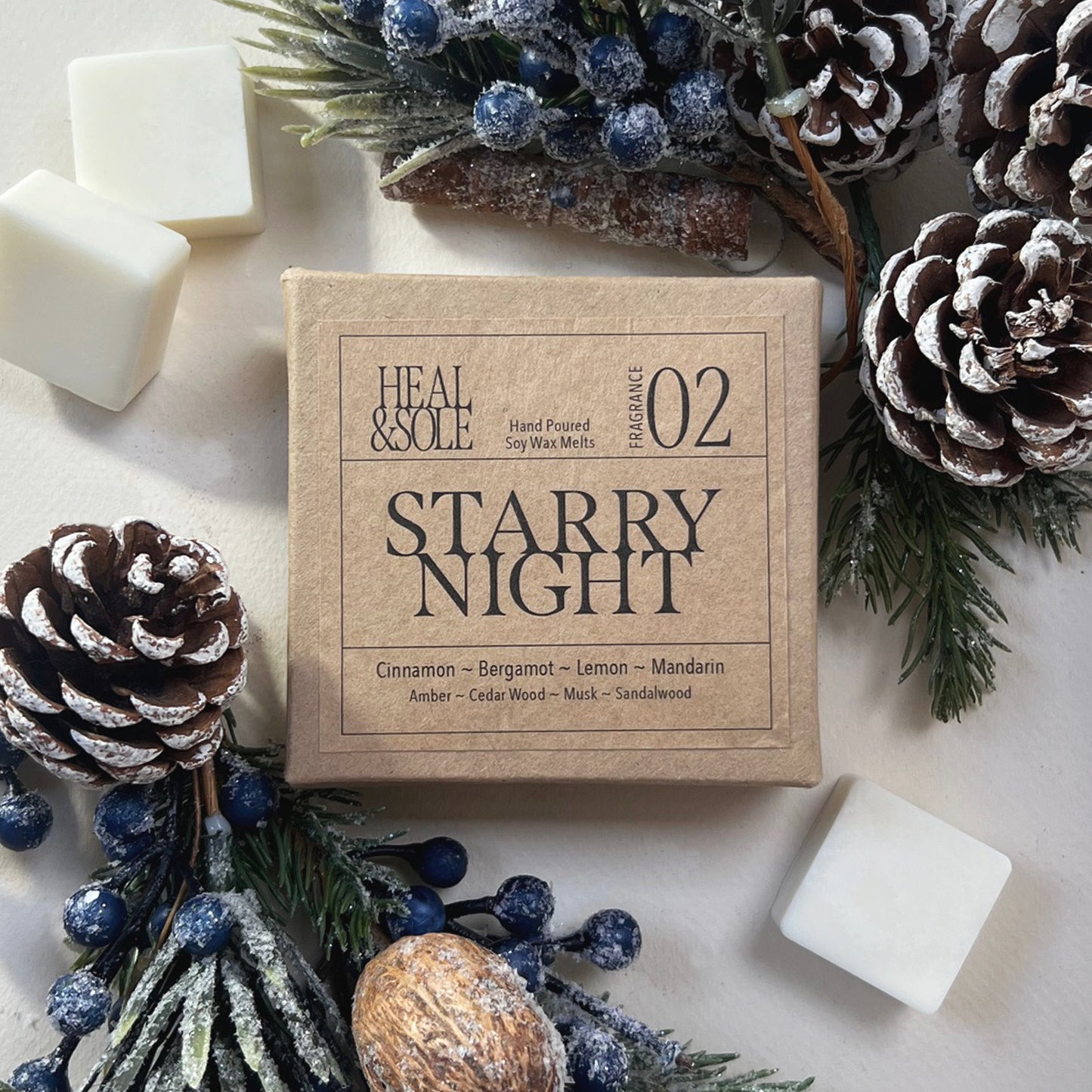 Starry Night Wax Melts