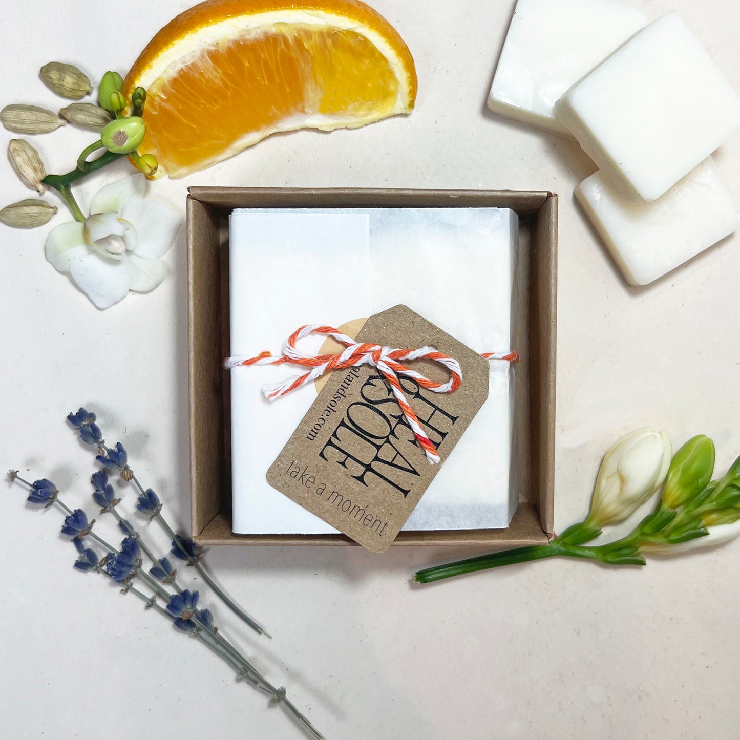 Sanctuary Wax Melts