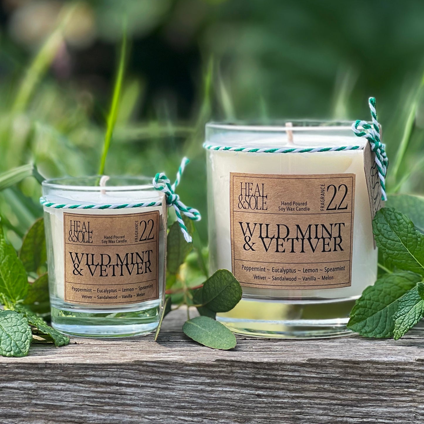 Wild Mint & Vetiver Candle